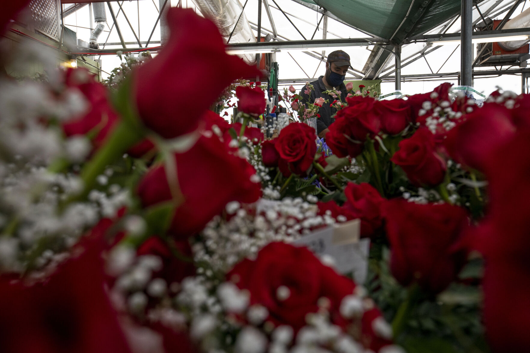 021321-news-vdayroses 11.jpg